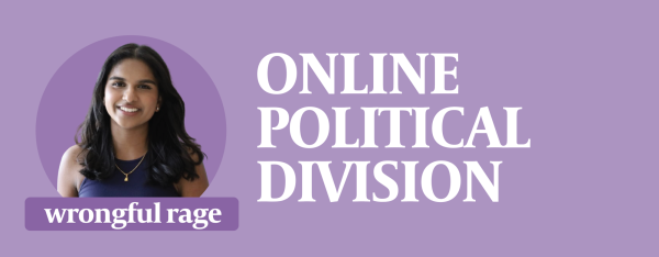 Online political rage-bait debates serve as a deterrent to constructive discourse